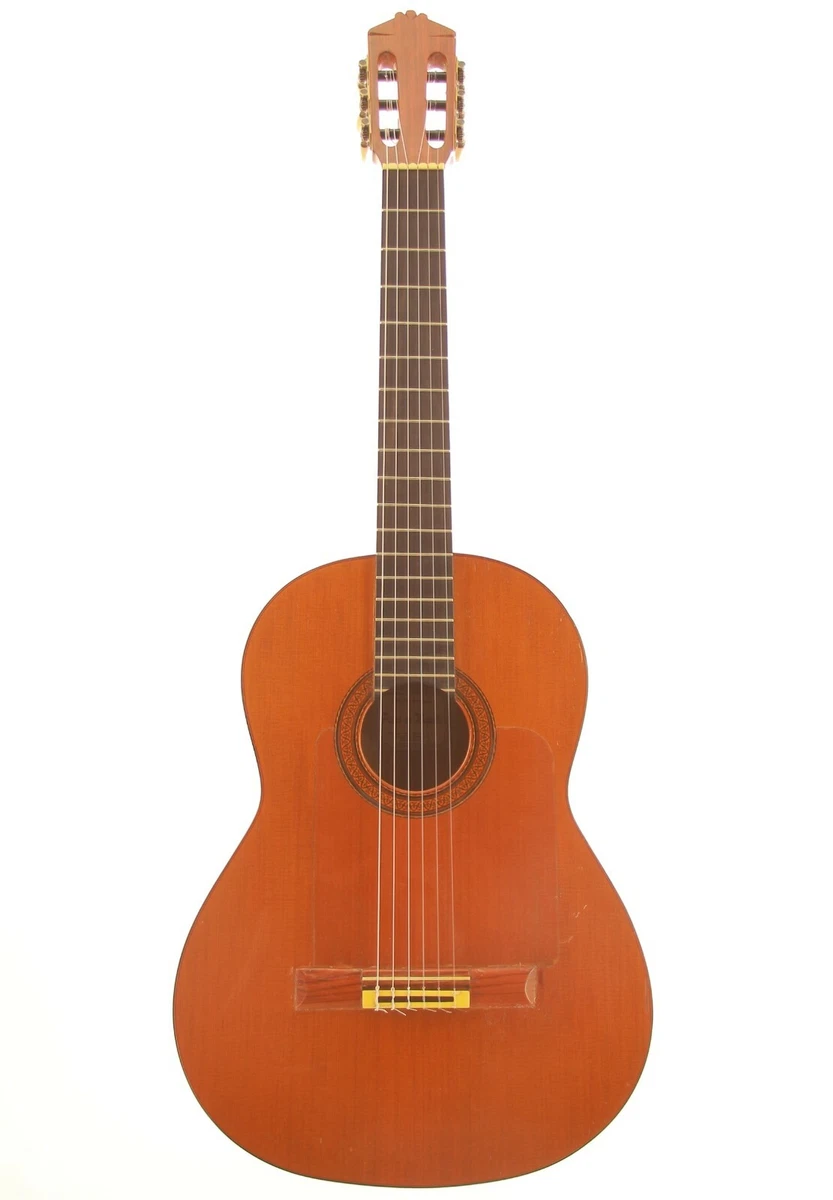 Pedro de sales miguel flamenco guitar