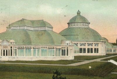 Bronx Park Conservatories Conservatory Fairhill Cancel New York Postcard Antique