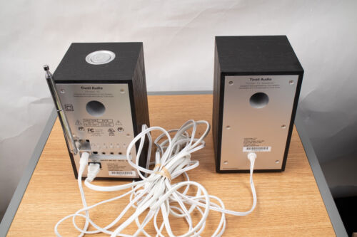 Tivoli Audio Model 10 AM FM Clock Radio Aux + Extension Speaker Henry Kloss - Picture 4 of 8