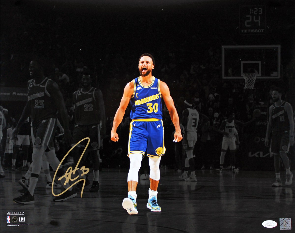 Warriors Stephen Curry Authentic Signed 16x20 Horizontal