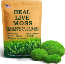 Fresh Real Live Moss Variety Pack for Orchids  Mini Landscapes DIY Terrariums,