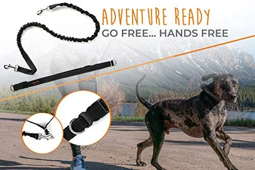 Cinturón elástico manos libres correa ajustable para perro para caminar correr entrenamiento Foto 3 de 4