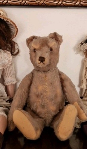 Sehr alter Steiff Bär Teddy Bär 32 cm Antik Bear