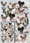 Chinese Crested Dog Gift Wrapping Paper by Starprint -Semi gloss + matching card