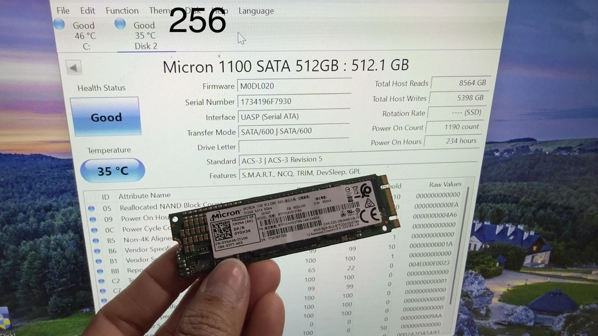 Micron SATA III 512 GB Solid State Drives for sale | eBay
