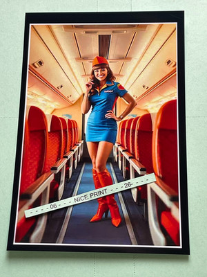 Found PHOTO of Beautiful Sexy Airline Flight Attendant Airplane Girl Stewardess