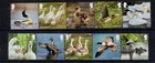 Great Britain 2025 Ducks 2 Strips of 5 MNH