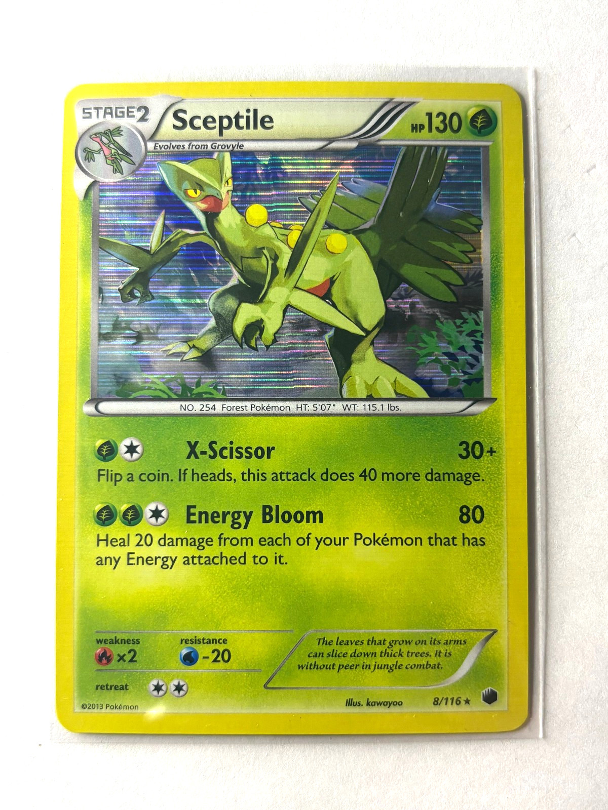 Sceptile #8 holo rare Pokemon Plasma Freeze NM