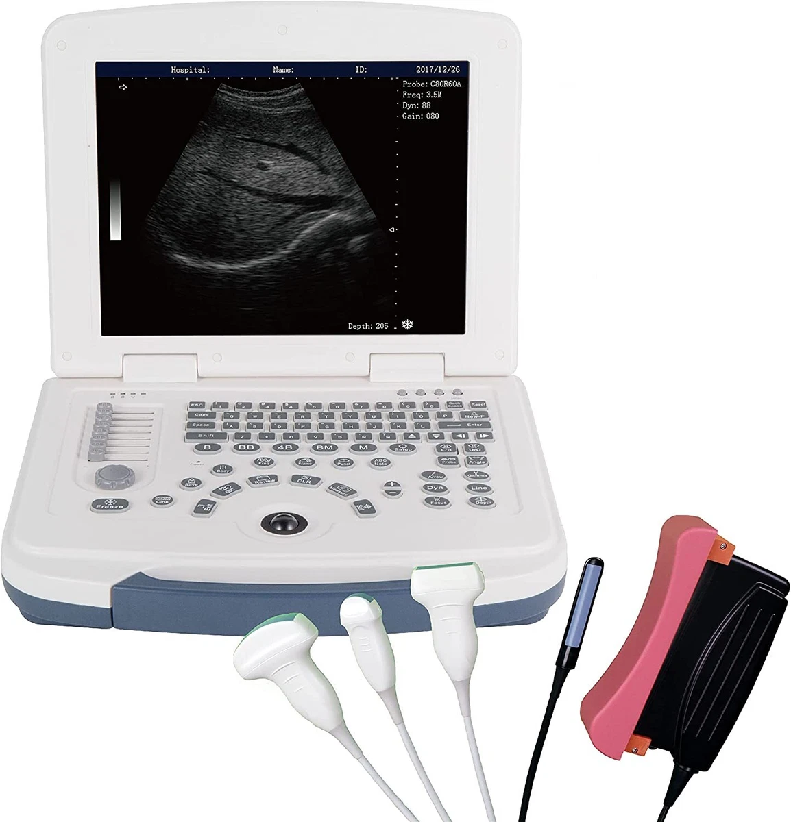 Veterinary ultrasound cheap