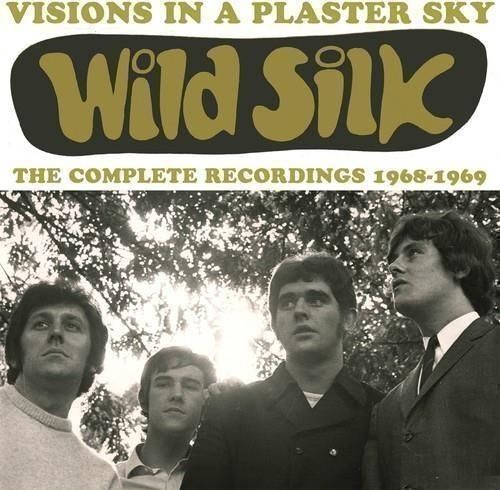 Audio Cd Wild Silk - Visions In A Plaster Sky: The Complete Recordings 1968-1969