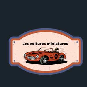 grosse voiture télécommandée