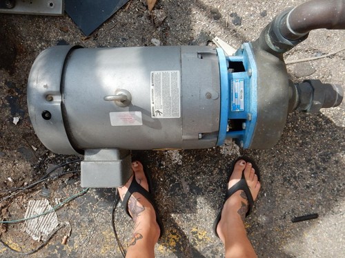 Goulds Centrifugal Pump 3656 Baldor JMM3709T 7.5HP 3450rpm 230 / 460v Motor