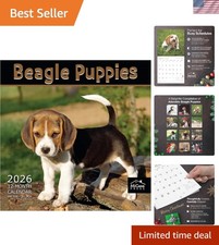 Delightful Beagle Puppies 2026 Wall Calendar  14- Layout for Easy Planning