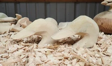 Unfinished Upper Chesapeake Canvasback Heads