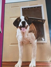 PetSafe Freedom Aluminum Pet Door White 220lb X-Large PPA00-10862 - New In Box