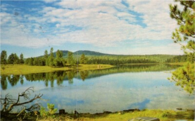 #ad Hawley Lake McNary Arizona AZ Fort Apache Indian Reservation Postcard $14.95