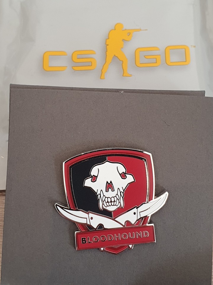 AUSWAHL CS:GO Pin Series 2 Collectible Pin+Ingame Code STEAM Valve CSGO ...