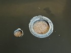 Picture 5 of 6