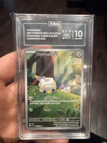 Togedemaru graded TAG 10 for sale on eBay