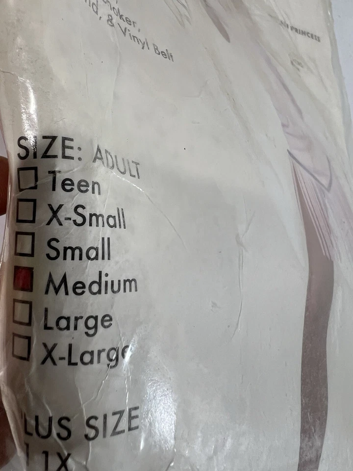 Disfraz de princesa india adulta dama gamuza mediana nativa americana Halloween Nuevo de Lote Antiguo Foto 3 de 4