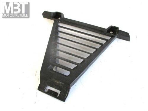 BMW G 310 R Verkleidung Kühler Schutzgitter Kühlergrill Bj.17-20