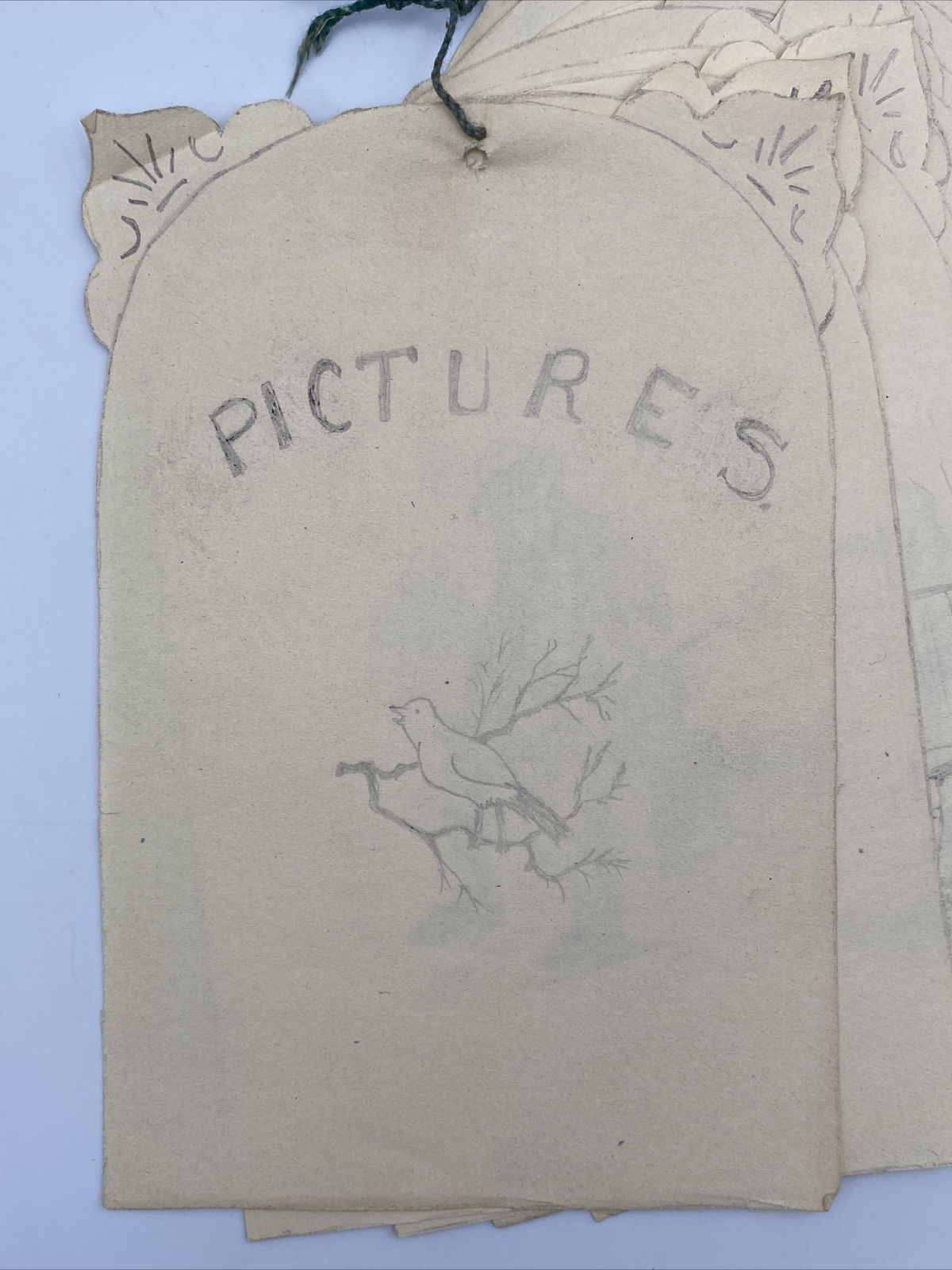 Picture 1 of 16