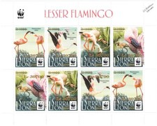 LESSER FLAMINGO Birds GOLD OVERPRINT 8v-Stamp Sheet WWF #4 (2019 Sierra Leone)