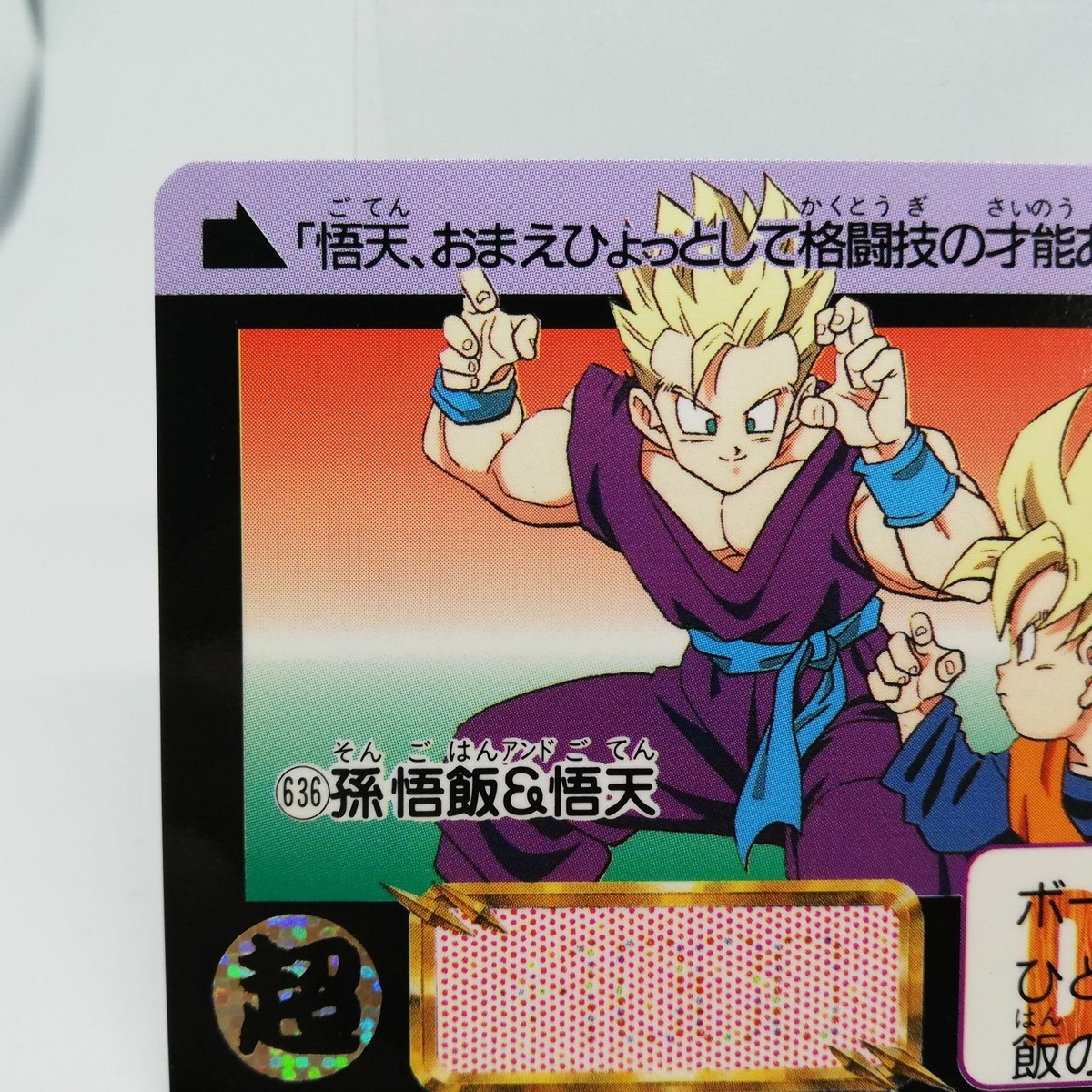 636 Son Gohan & Goten Doragon Ball Z Card DASS BANDAI 1993～1996
