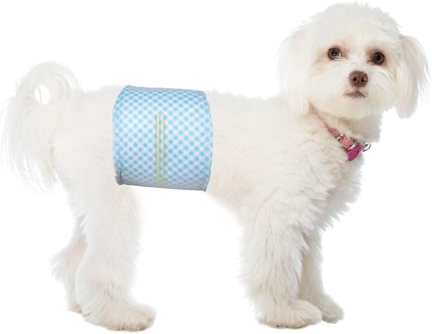 Bande per Pancia Cani Maschi Super A - Pannolini Usa e Getta Assorbenti