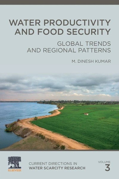 M. Dinesh Kumar | Water Productivity And Food Security | Taschenbuch | Englisch-image