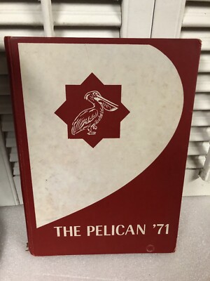 1971 yearbook THE PELICAN Denham Springs Louisiana Jr High School
