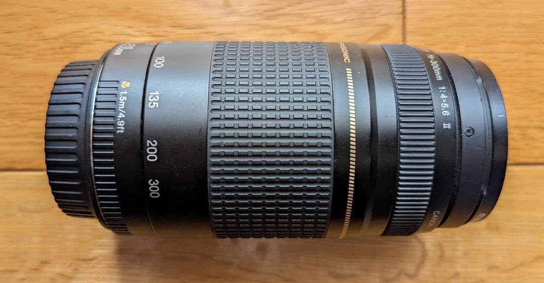 Canon EF 75-300mm II f4.5-5.6 USM Zoom Lens Excellent Condition | eBay