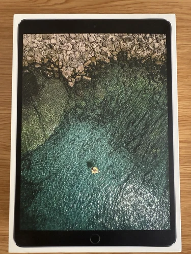 Apple iPad Pro 256GB, Wi-Fi, 10.5in - Space Grey - Latest iOS 17