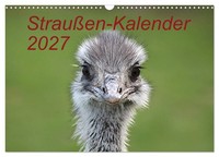 "Calendar 2027 · US Version · Ostrich Calendar 2027 (Wall Calendar 2027 17\" × 12\""