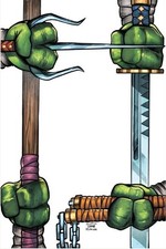 2014 IDW Limited Teenage Mutant Ninja Turtles 30th Anniversary Sketch Cards 12
