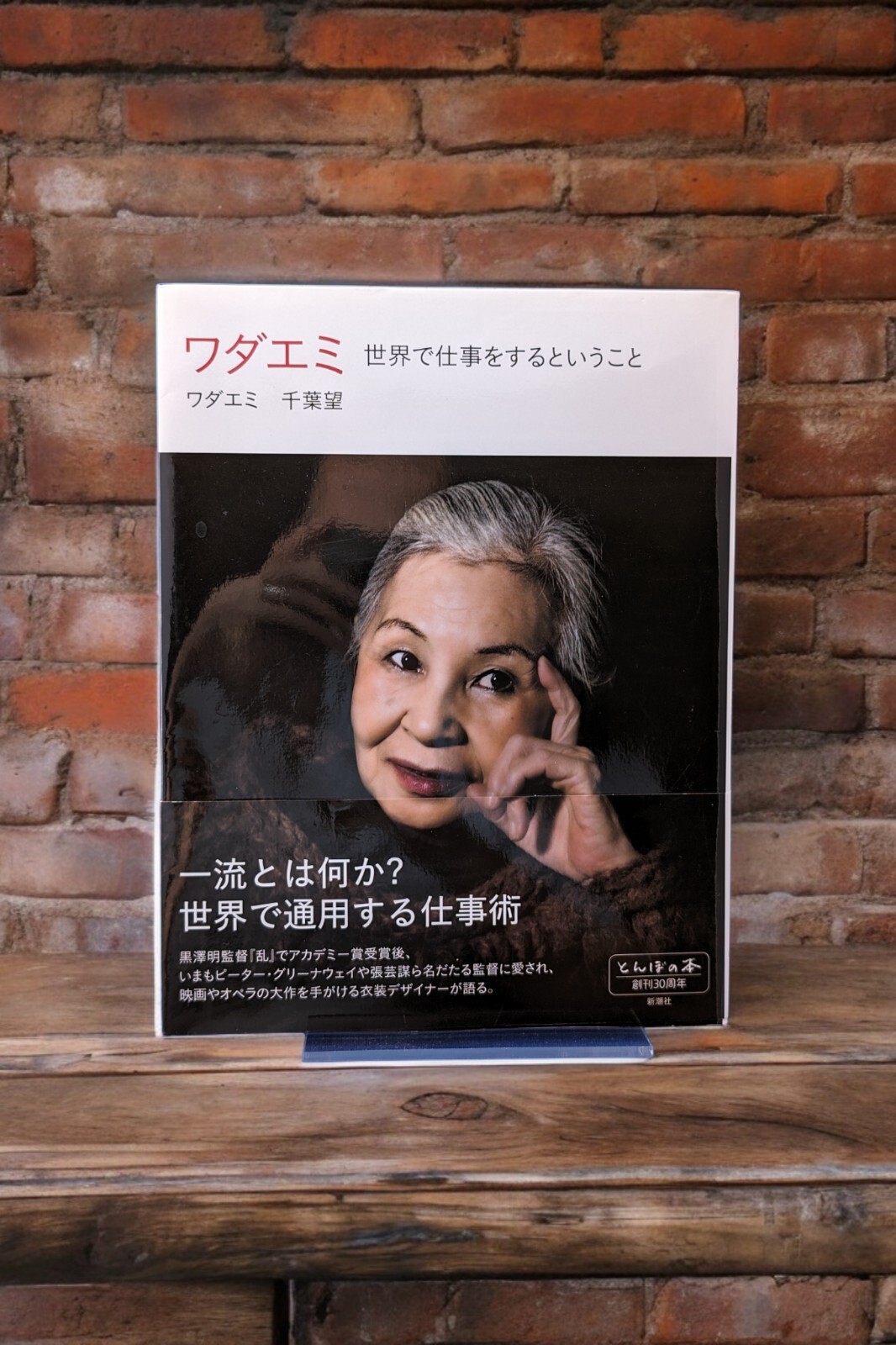 Emi Wada - Working Around The World, Japanese Book