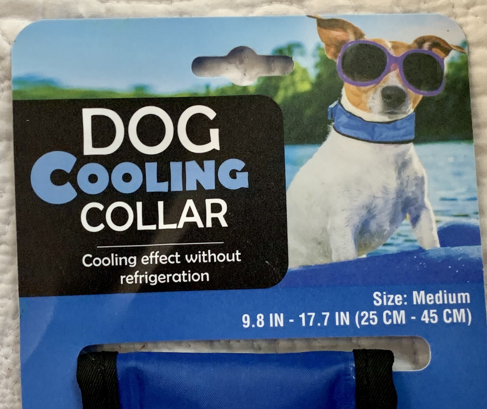 dog cooling collar evriholder