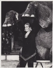 1976 Vintage Press Photograh - KIM NOVACK - Munich, Germany