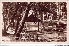 ACTP7-72-0634 - CRADLE - the cradle forest - sources of the hermitage