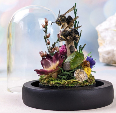 x59x Two (2) Bald Faced hornets & stink bug Glass Dome Display Oddity Curiosit