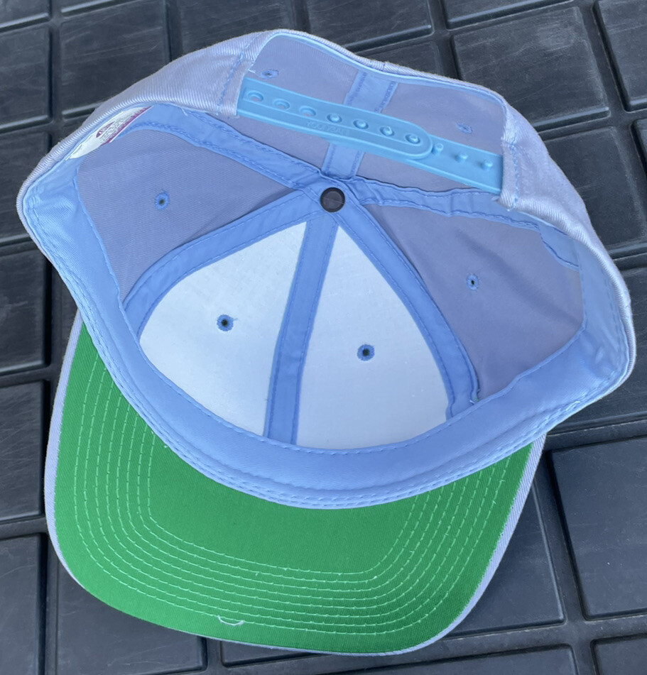 NWOT Vintage 90s Light Blue Youngan Snapback Hat Cap Twill