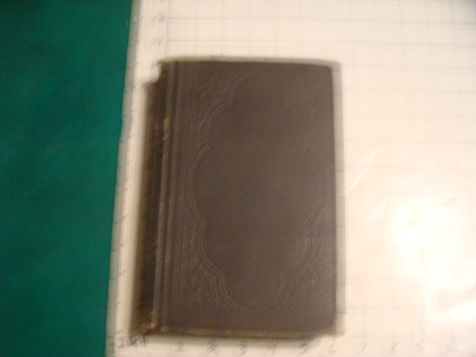 Bild 12 von 12