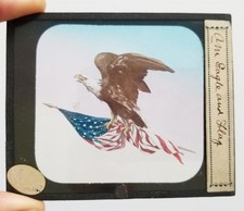 antique MAGIC LANTERN GLASS SLIDE patriotic AMERICAN EAGLE FLAG