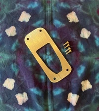 Jerry Garcia Brass Alligator Output Jack Plate Riser Stratocaster Grateful Dead