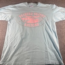 VTG Painted Desert Blue With Pink T-Shirt Mens Size L 90s Sun Faded USA Made