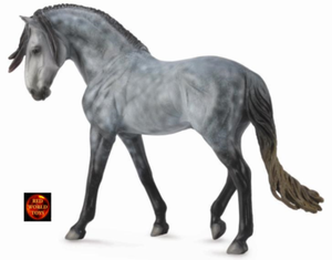 cheval pie gris