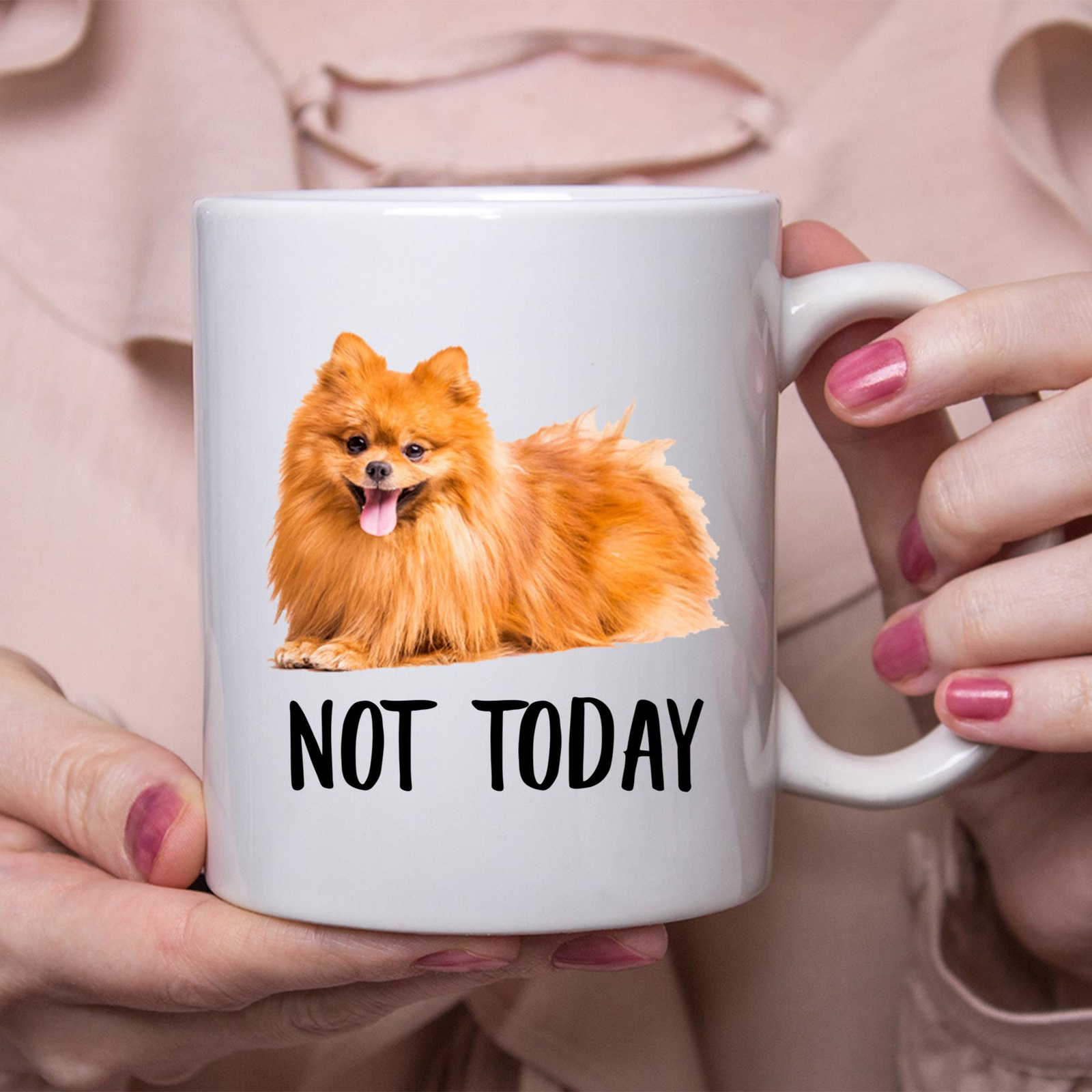Funny Pomeranian Red Not Today Dog Mug Lazy Gift For Women Dogs Mom Coffee Mug