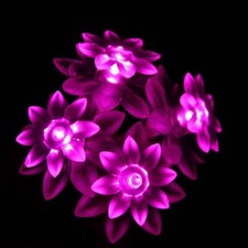 Battery Powered Pink 20 LED 6.6ft Lotus Flower Fairy Lights string lamp ON+Flash