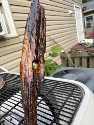 Rare Dug Civil War Bullet In Wood Plus Bonus Relics