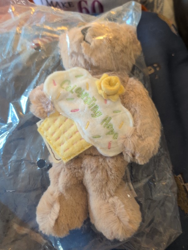 2009 Boyds Bear American Cancer Society Teddy Bear Celebrating Hope, New